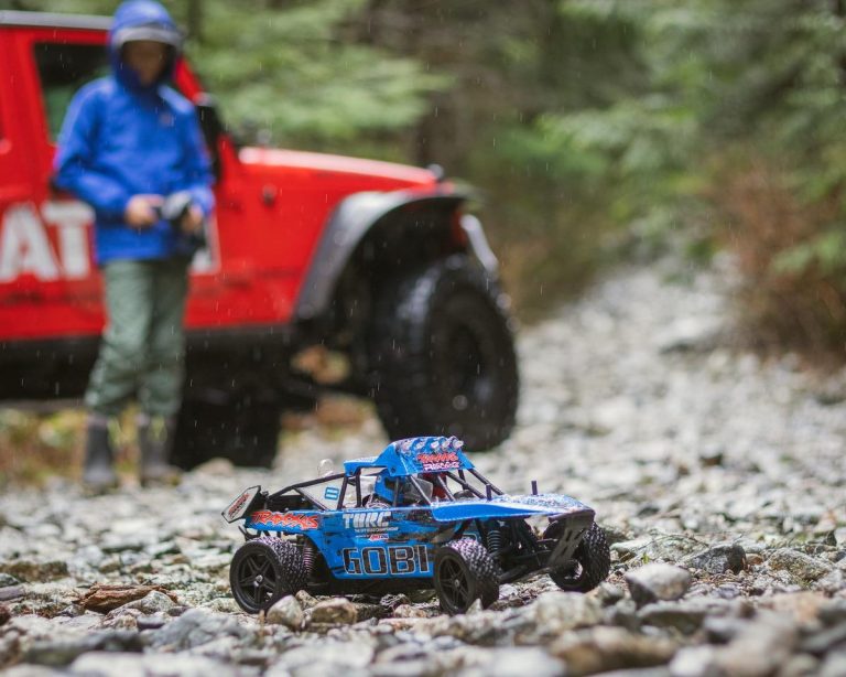 best rc car brand 2020