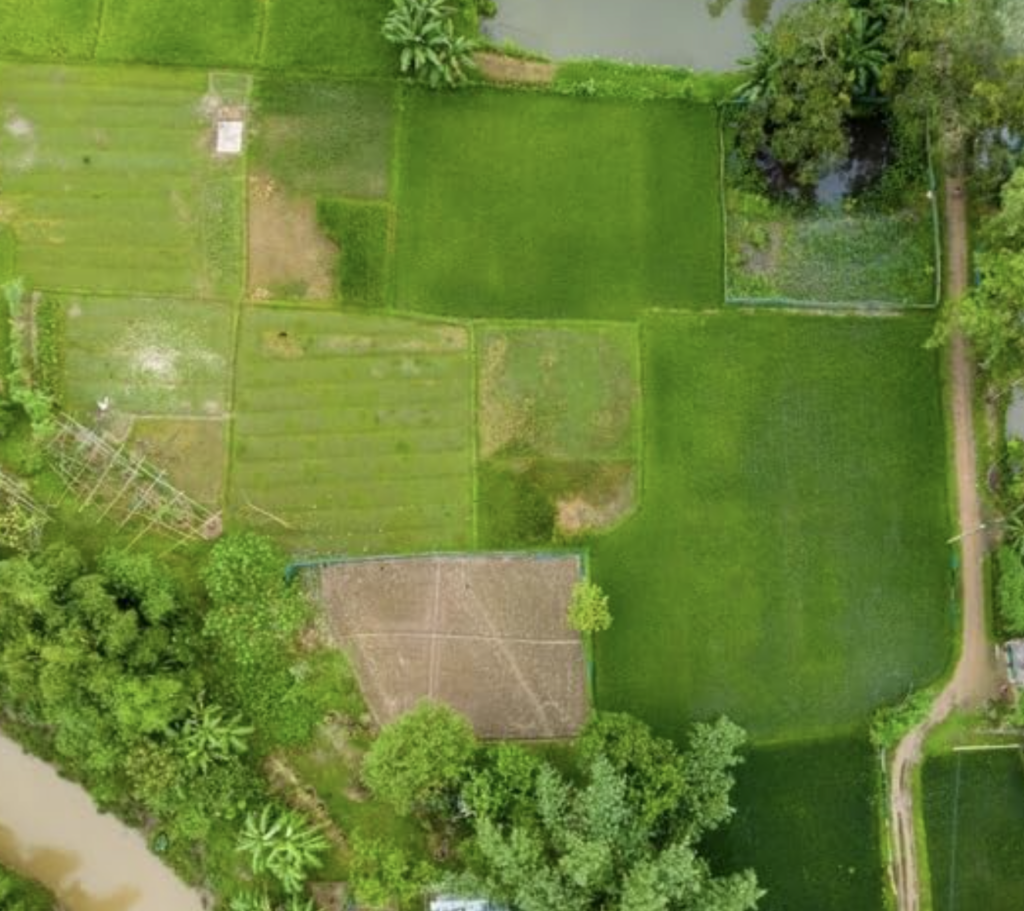 Camera quality showing a photo taken above a large green open field